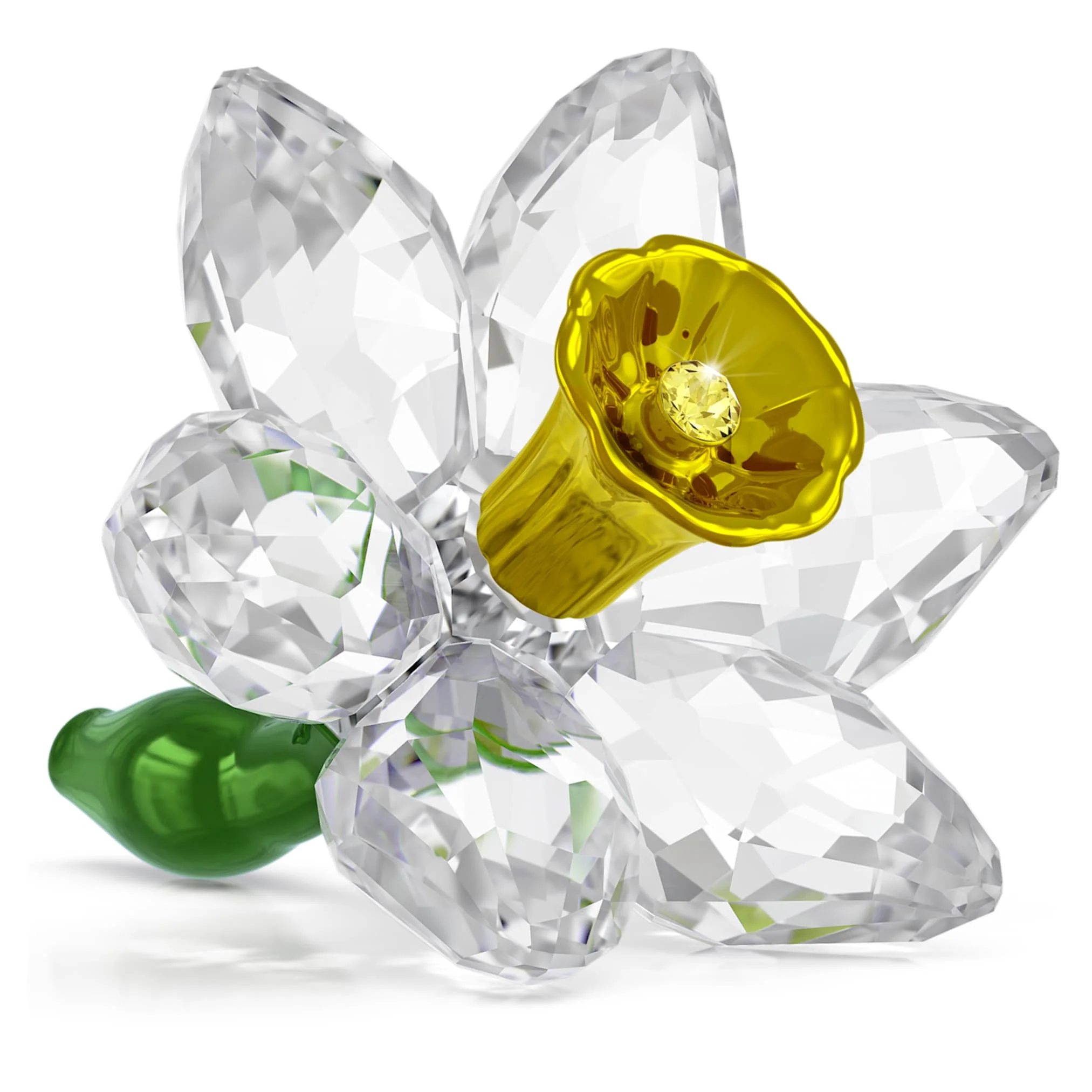 Florere Daffodil
