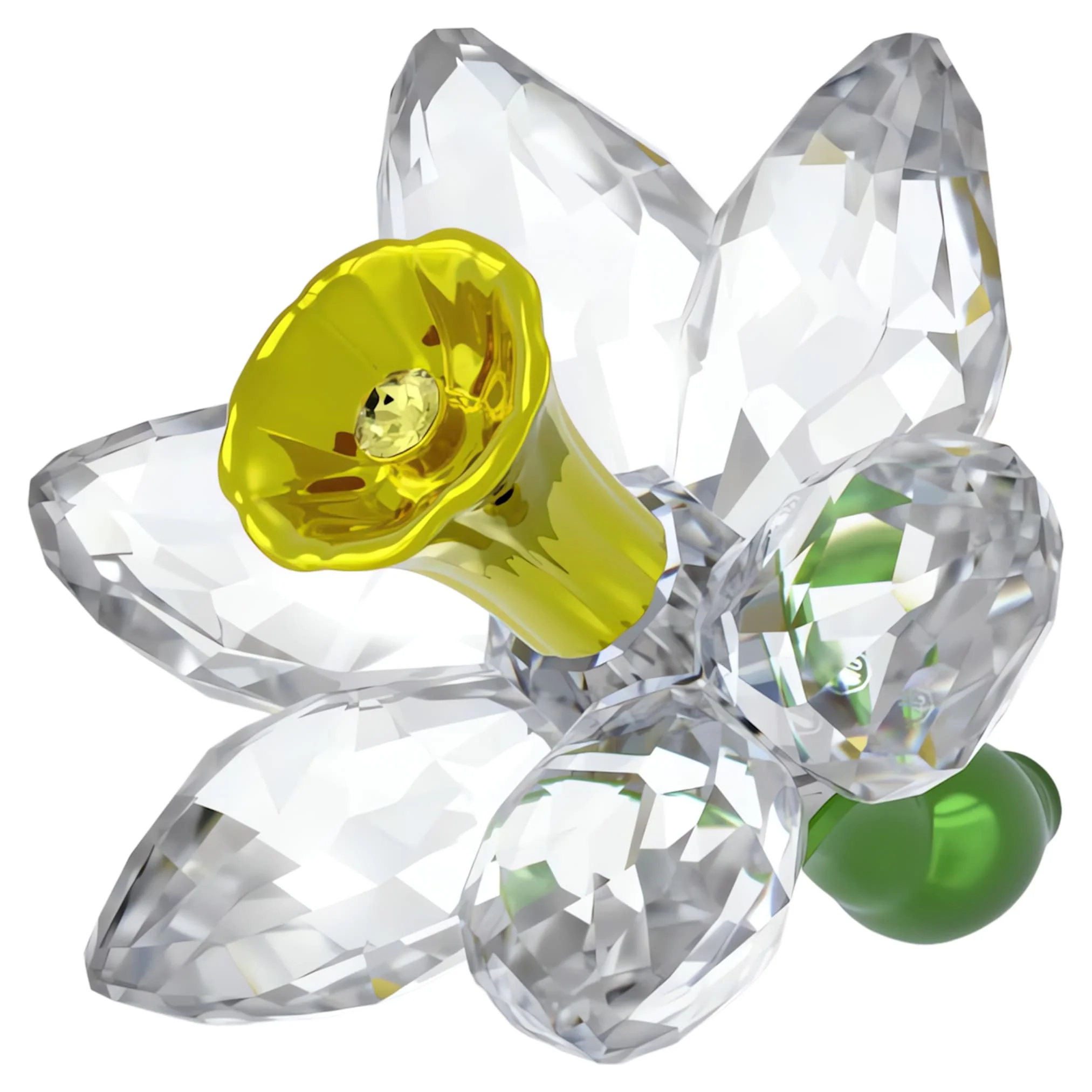 Florere Daffodil - Image 2