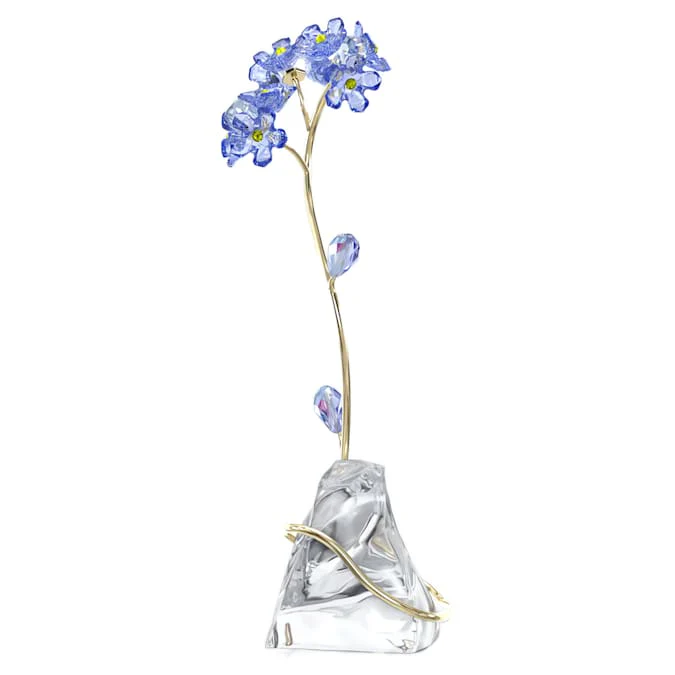 Florere Forget-me-not - Image 2