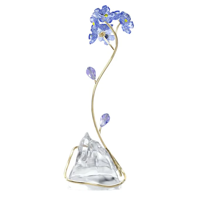 Florere Forget-me-not - Image 3