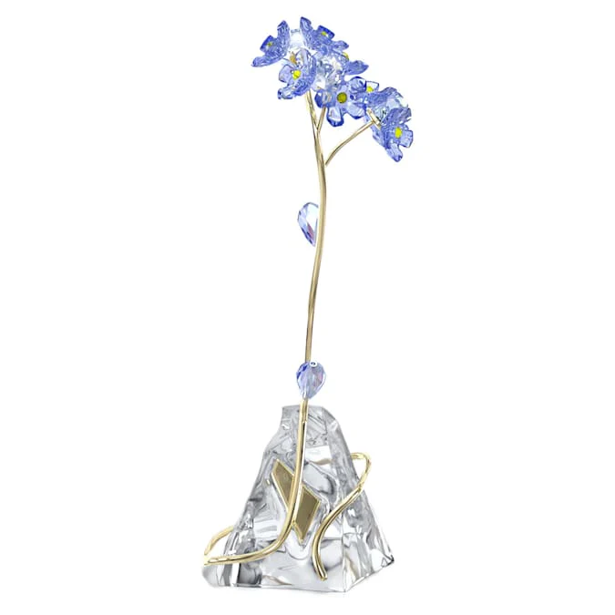 Florere Forget-me-not - Image 4