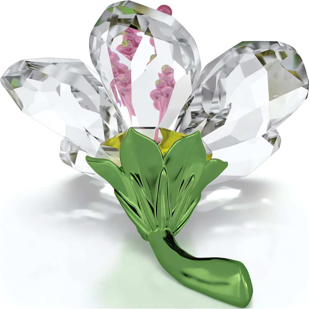 Florere Hibiscus Small - Image 3