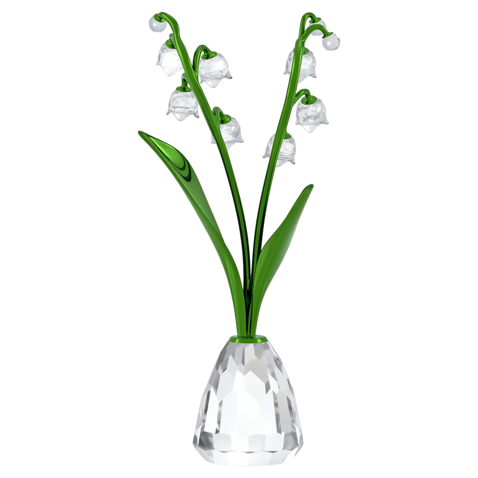 Florere Lily of the Valley - Image 3