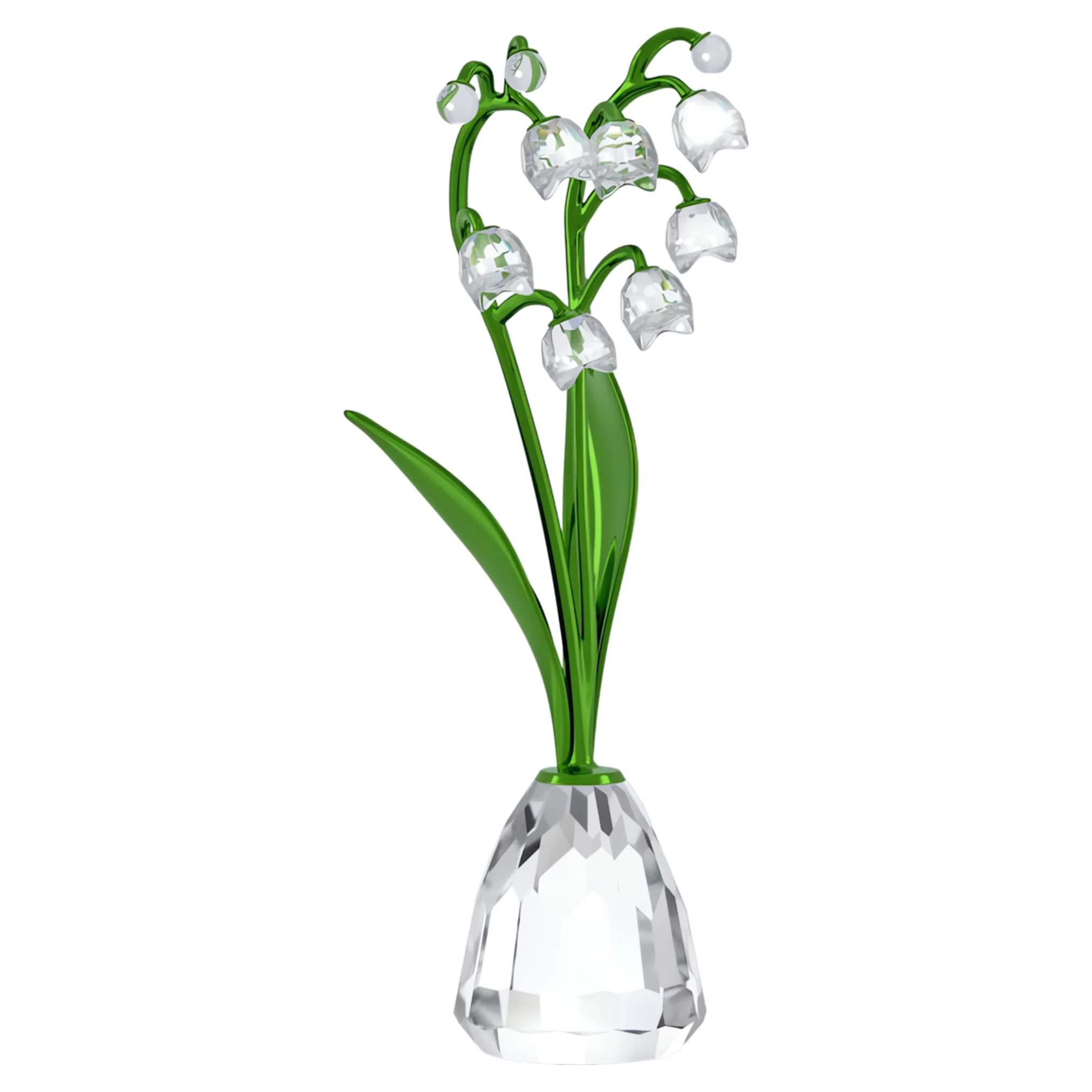Florere Lily of the Valley - Image 4