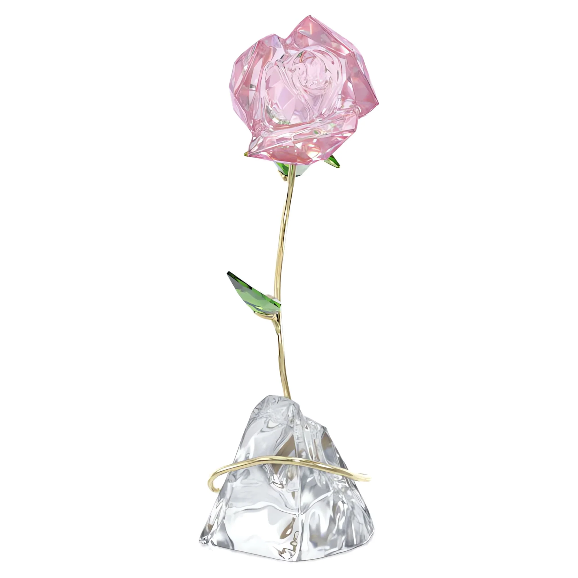 Florere Rose - Image 4
