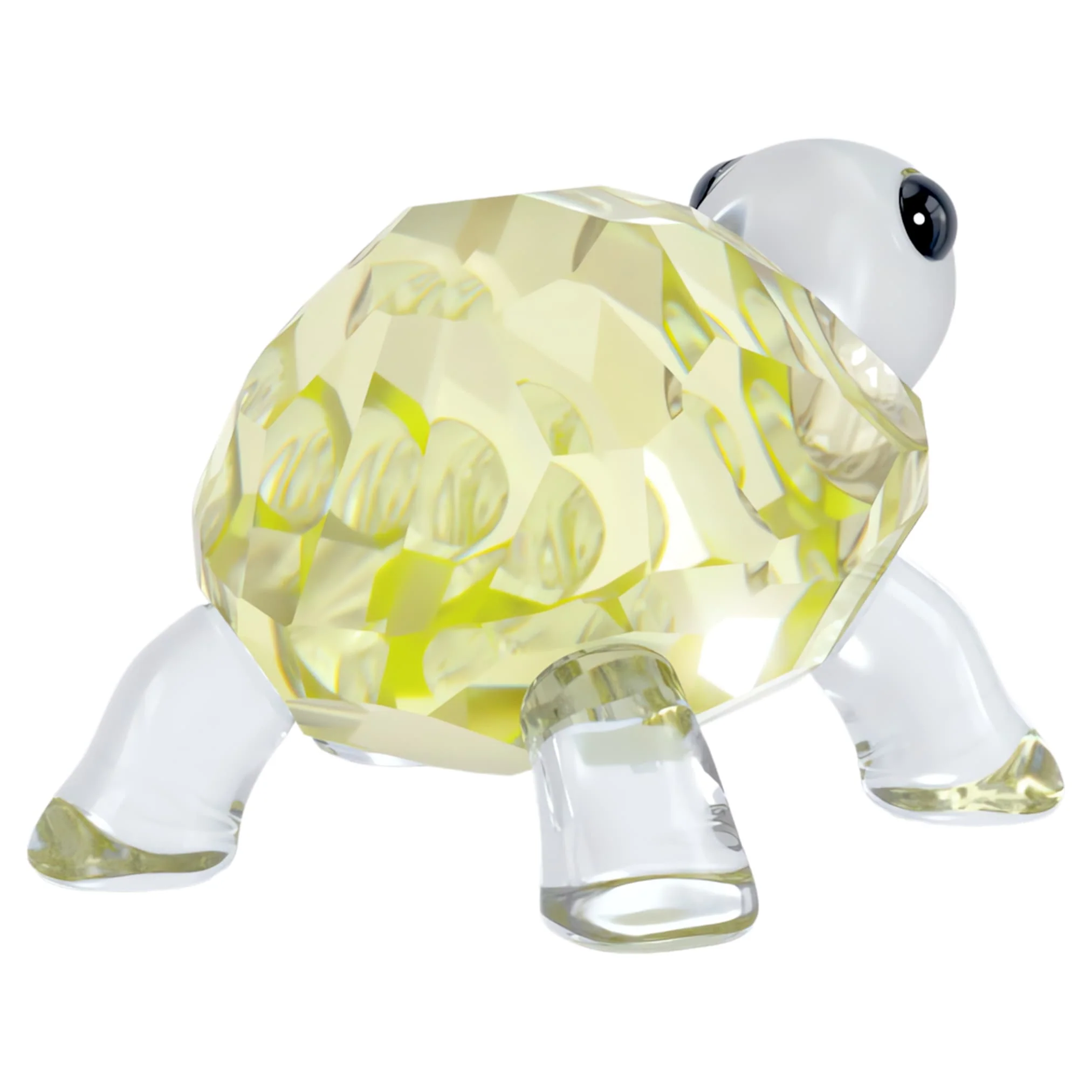 Idyllia Baby Tortoise - Image 3