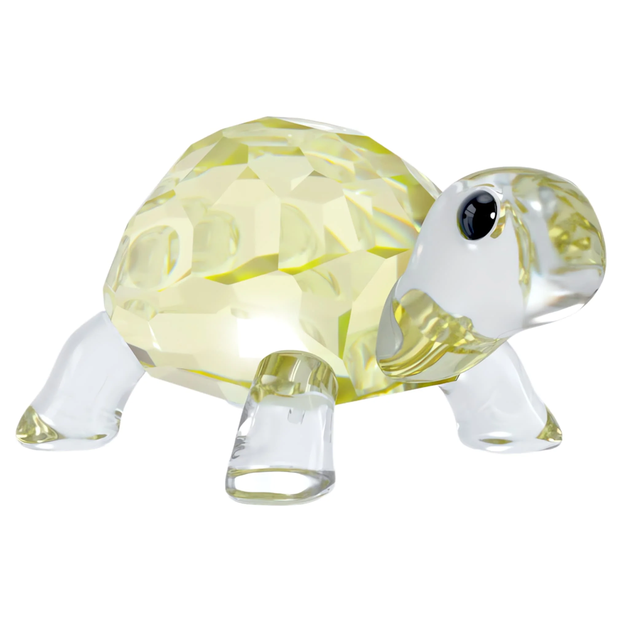 Idyllia Baby Tortoise - Image 4