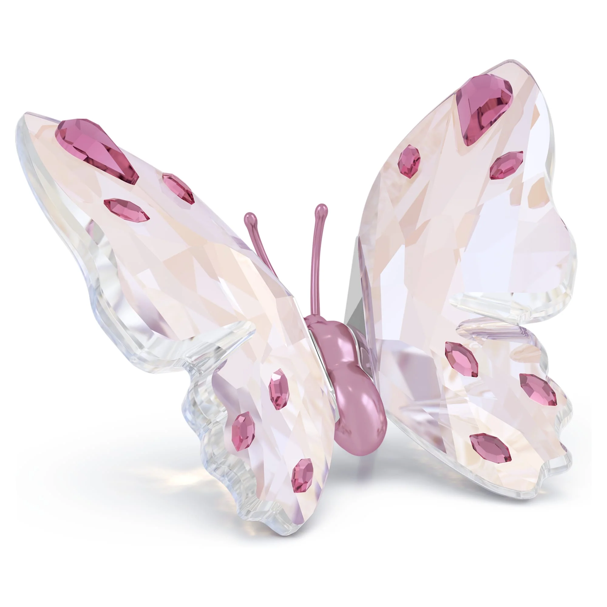 Idyllia Butterfly Small