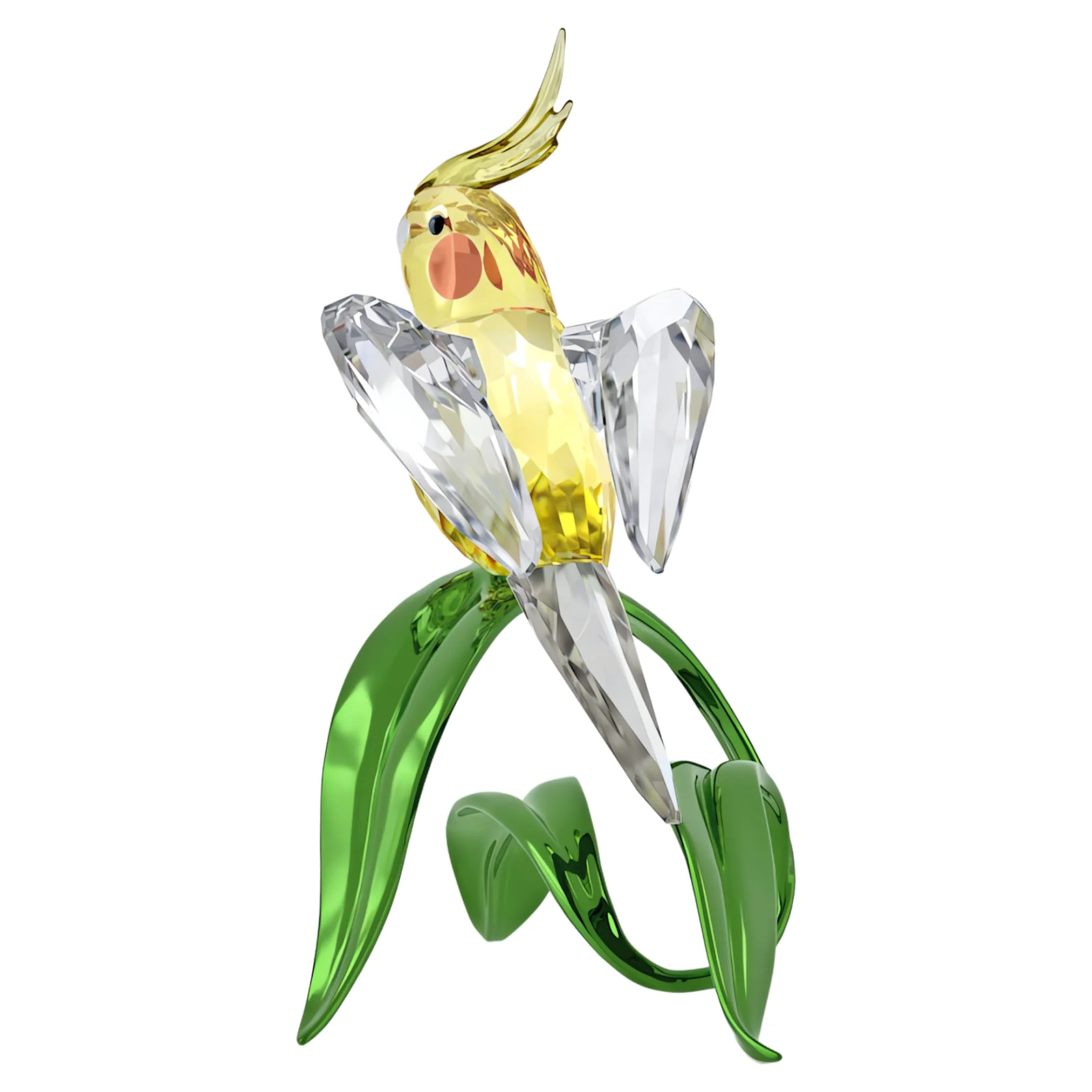 Idyllia Cockatiel - Image 3