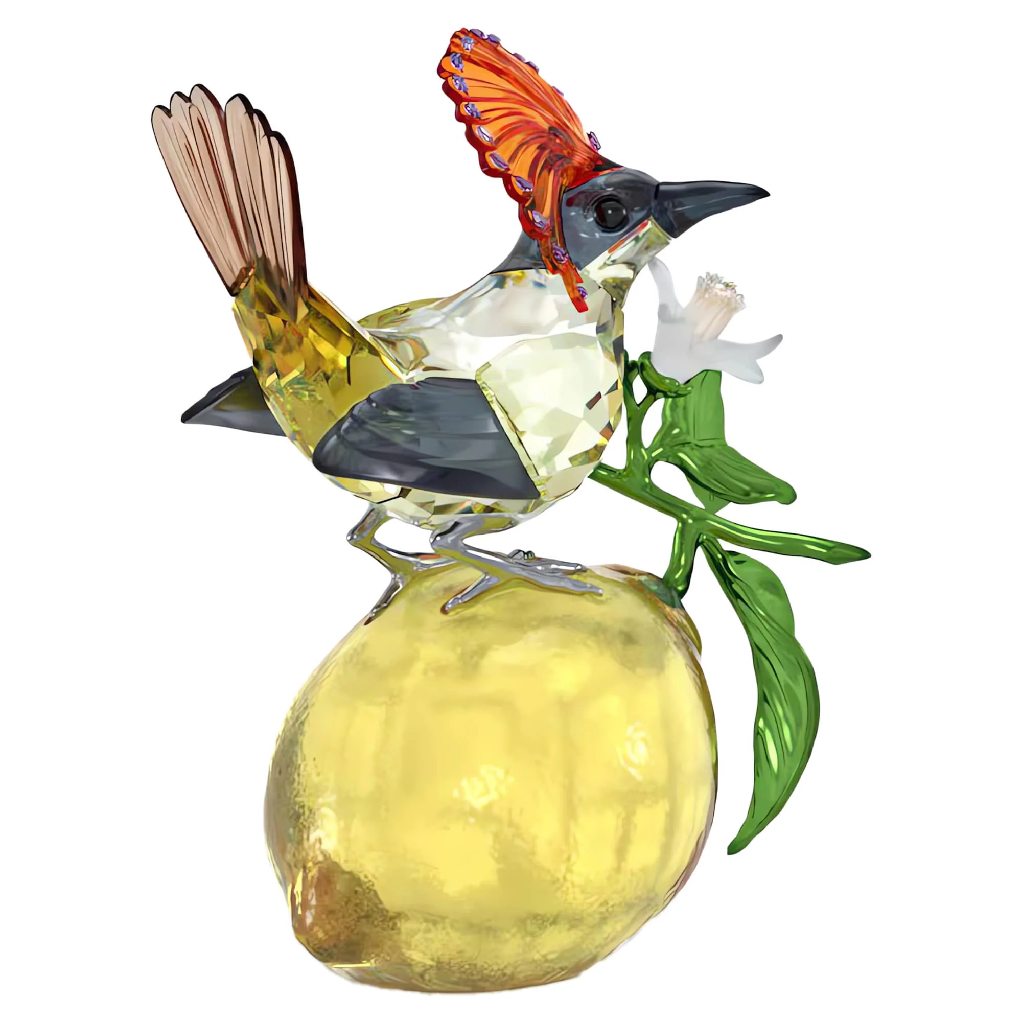 Idyllia Royal Flycatcher - Image 4